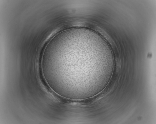 X0000097650482200803142113