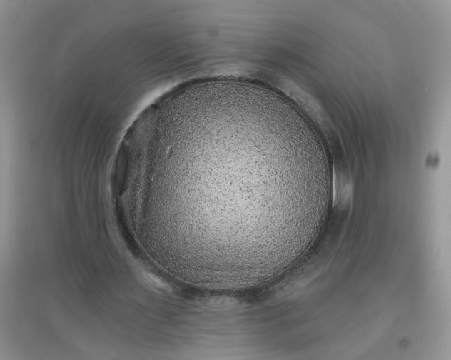 X0000097650483200803142113