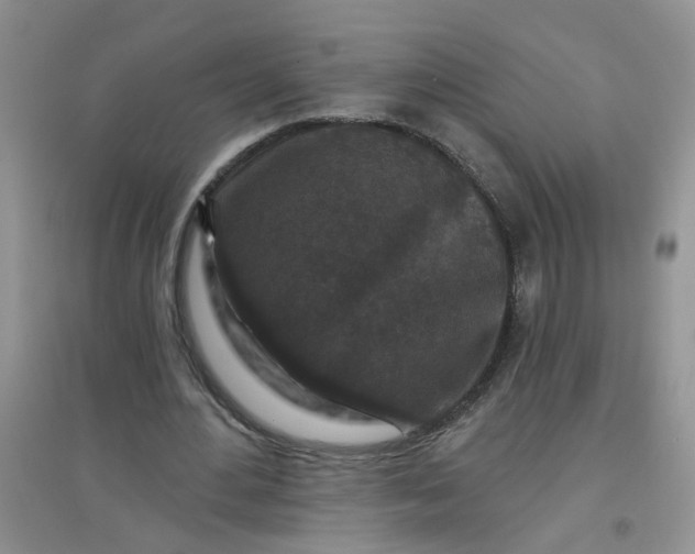 X0000097650484200803142113