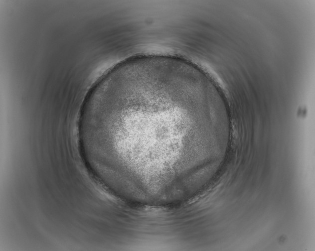 X0000097650487200803142113