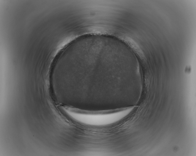 X0000097650488200803142113