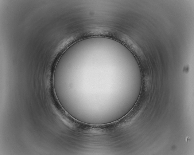 X0000097650490200803142113