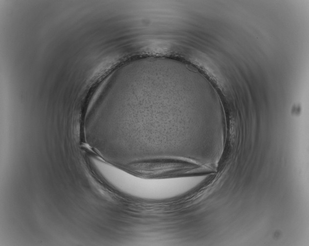 X0000097650493200803142113