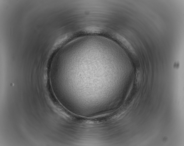 X0000097650494200803142113