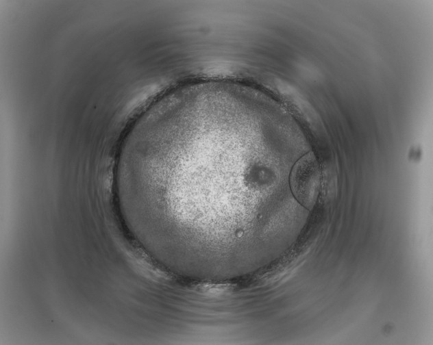 X0000097650495200803142113