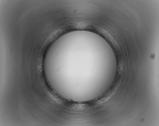 X0000097650497200803142113