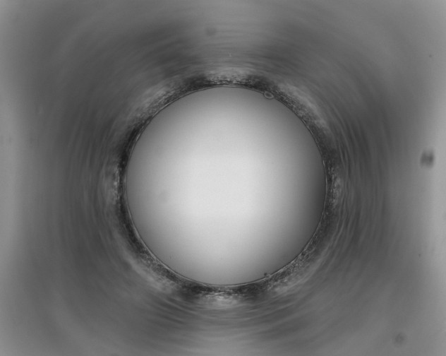 X0000097650498200803142113