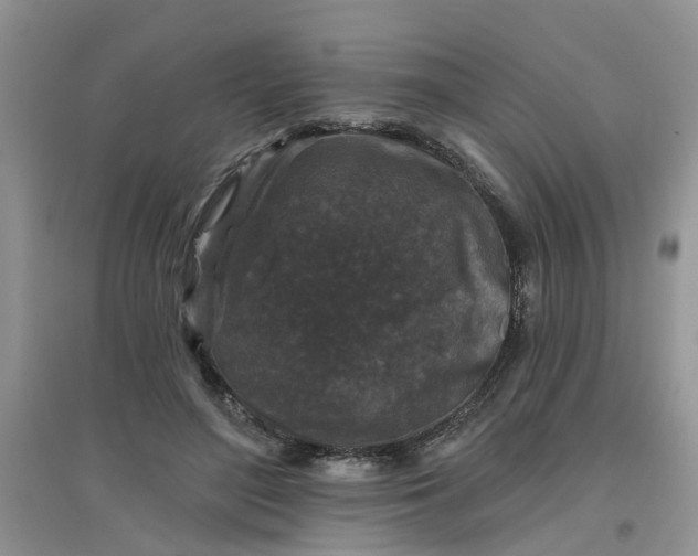 X0000097650500200803142113