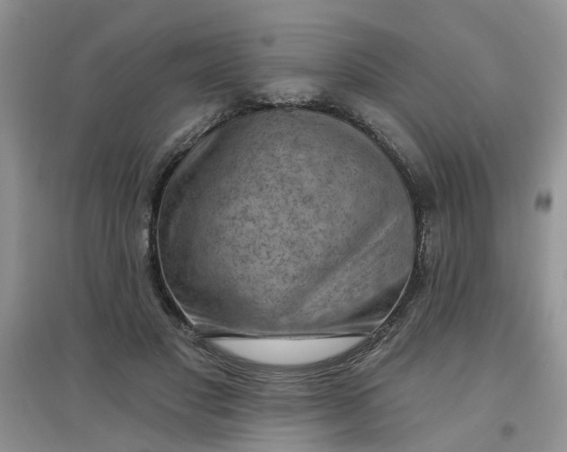 X0000097650501200803142113