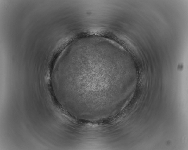 X0000097650502200803142113