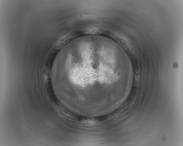 X0000097650503200803142113