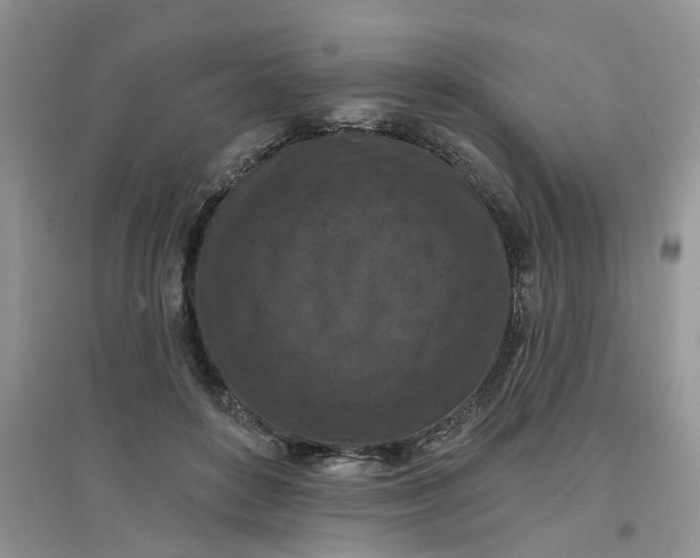 X0000097650504200803142113