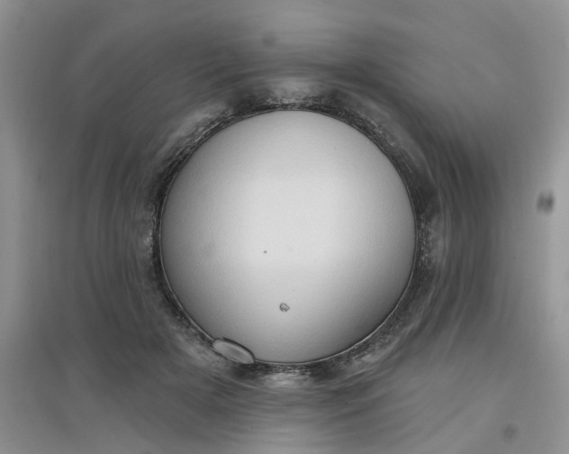 X0000097650505200803142113