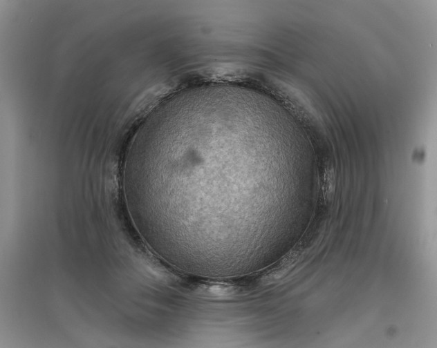 X0000097650506200803142113