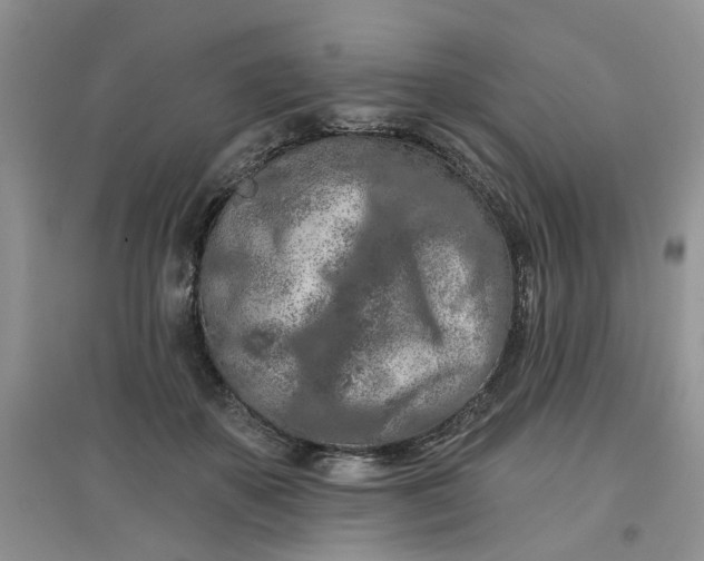 X0000097650507200803142113