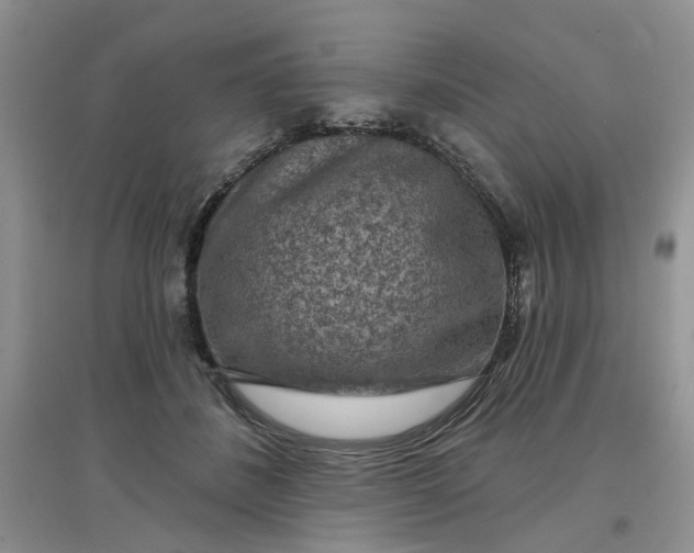 X0000097650508200803142113