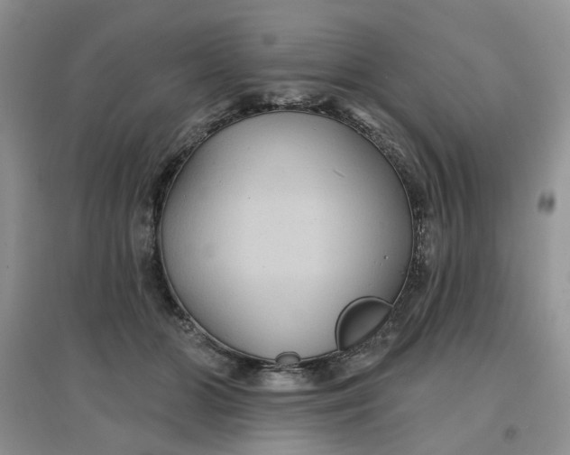 X0000097650510200803142113