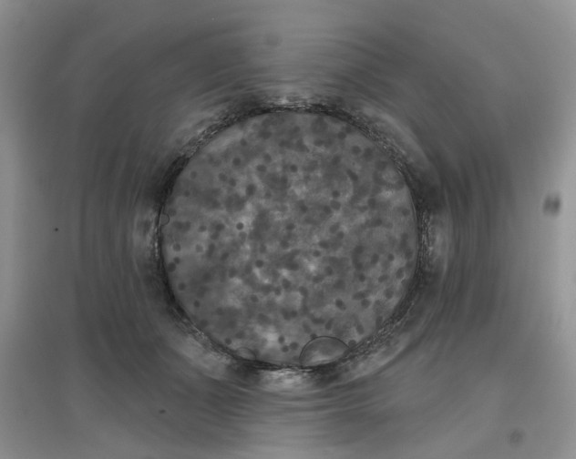 X0000097650511200803142113