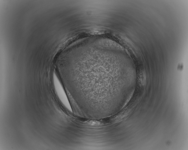 X0000097650512200803142113