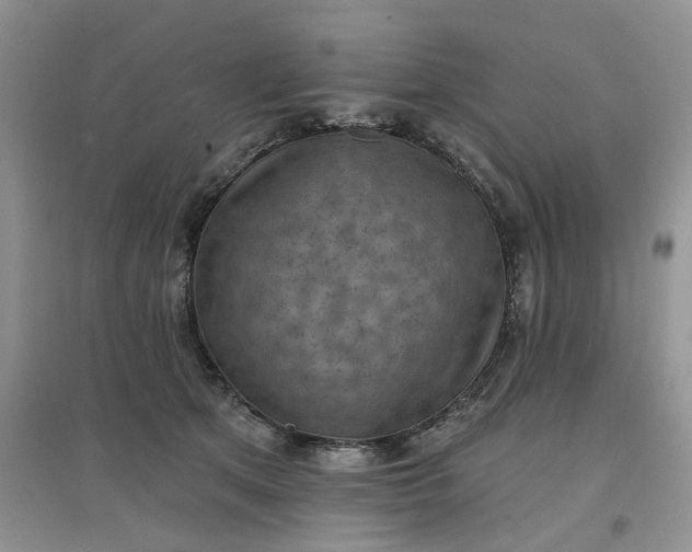 X0000097650513200803142113