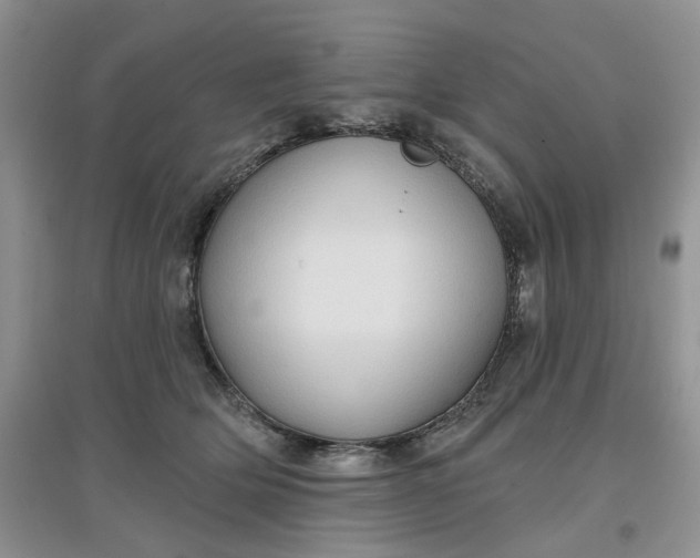 X0000097650514200803142113