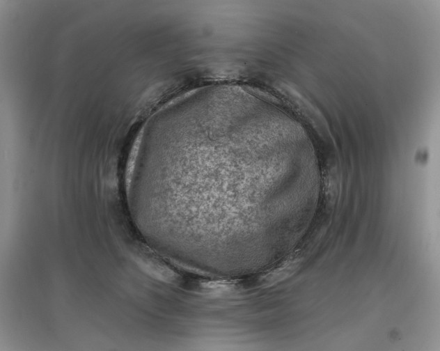 X0000097650516200803142113