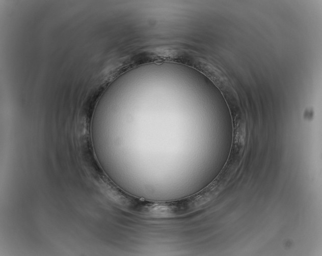 X0000097650518200803142113