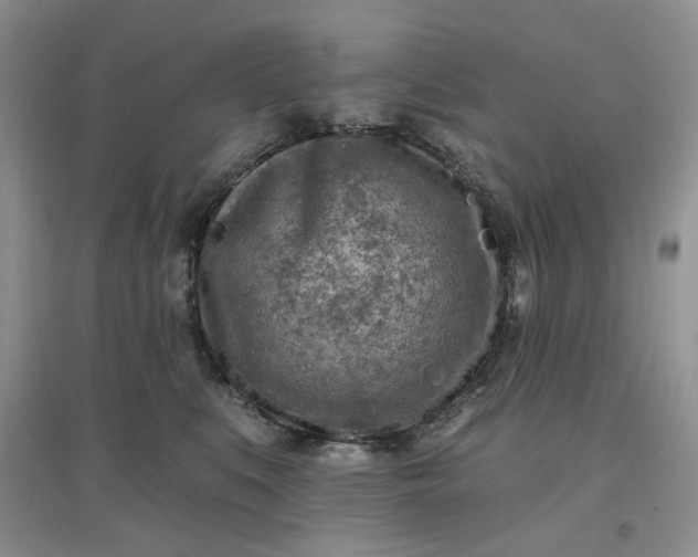 X0000097650519200803142113