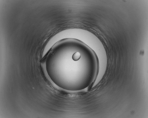 X0000097650520200803142113