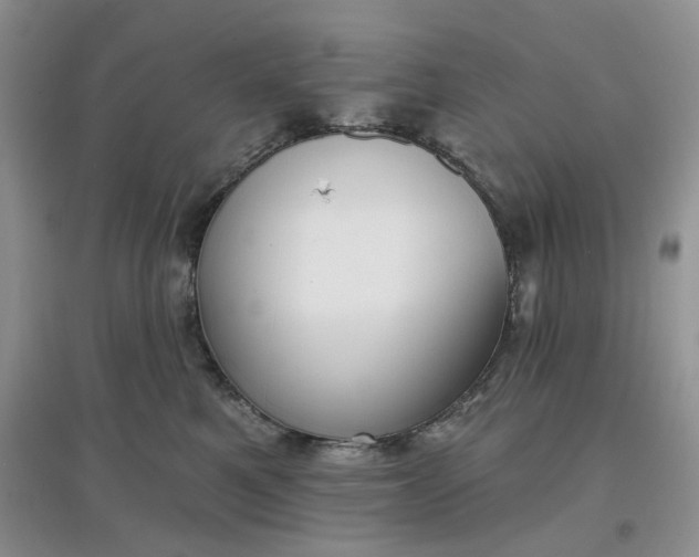 X0000097650521200803142113