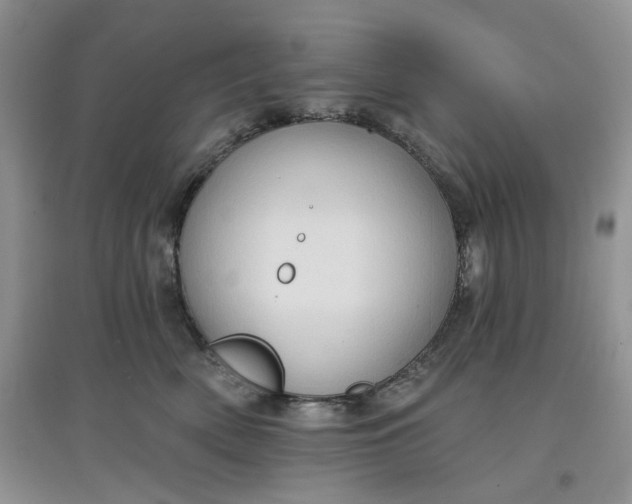 X0000097650522200803142113