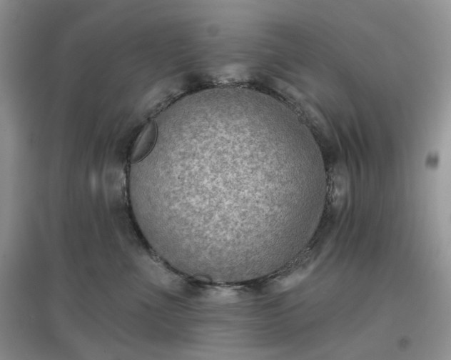 X0000097650523200803142112