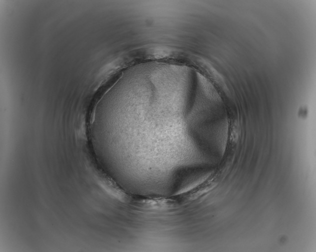 X0000097650524200803142112