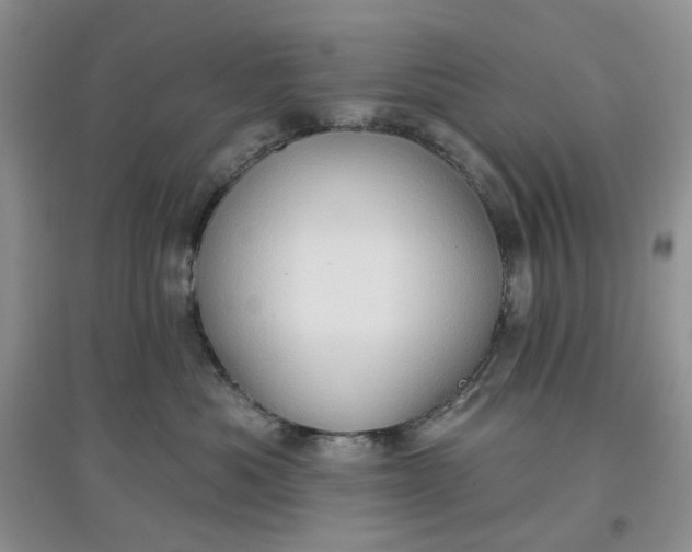 X0000097650525200803142112