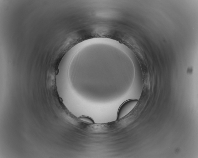 X0000097650526200803142112