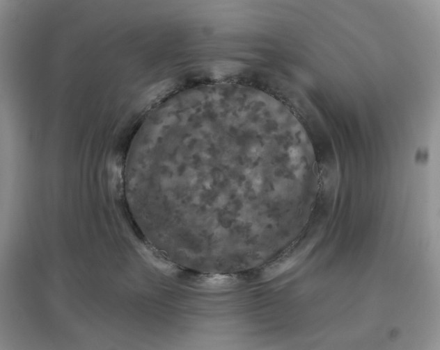 X0000097650527200803142112