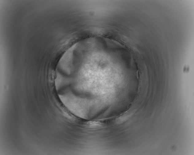 X0000097650528200803142112