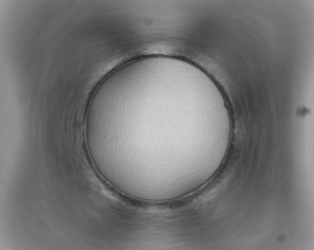 X0000097650529200803142112