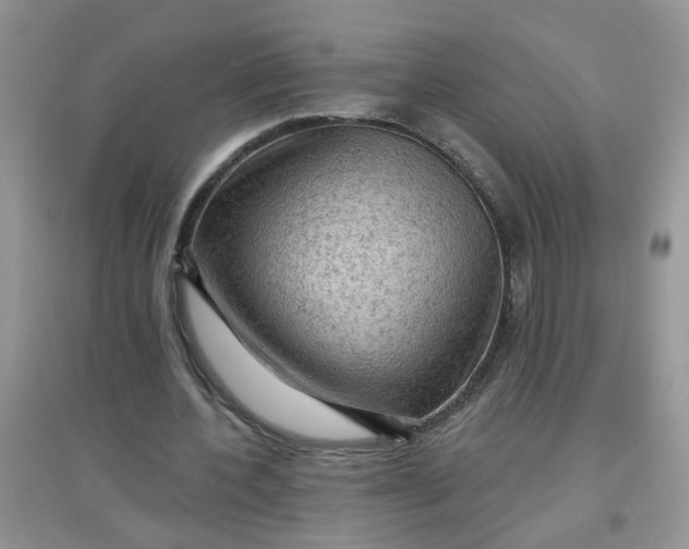 X0000097650532200803142112