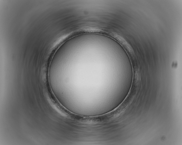 X0000097650533200803142112