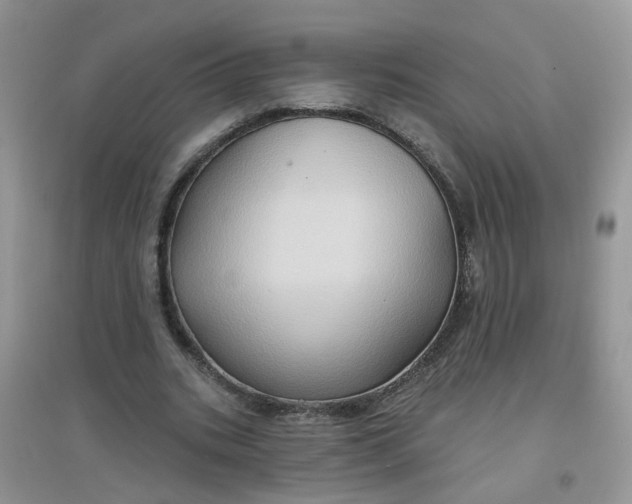 X0000097650535200803142112