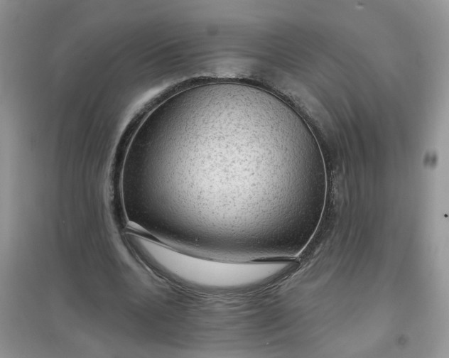 X0000097650536200803142112