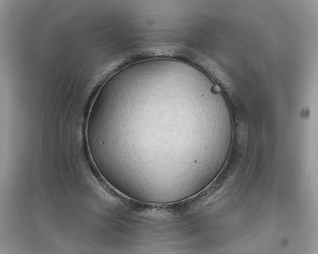 X0000097650537200803142112