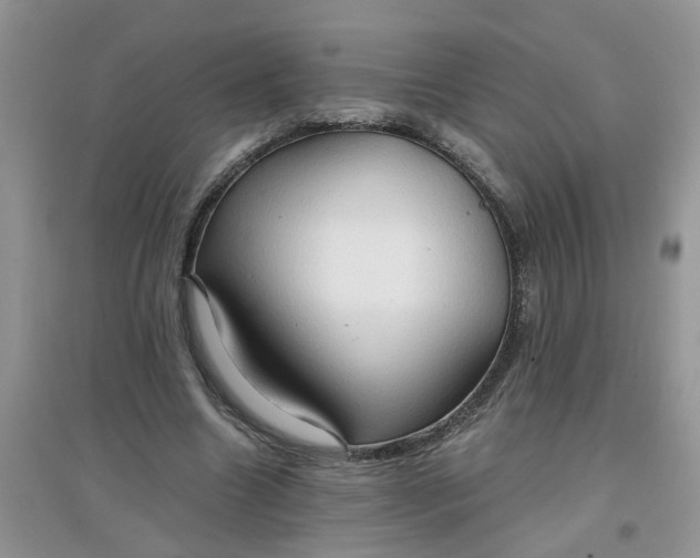 X0000097650538200803142112