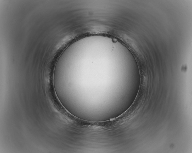 X0000097650539200803142112