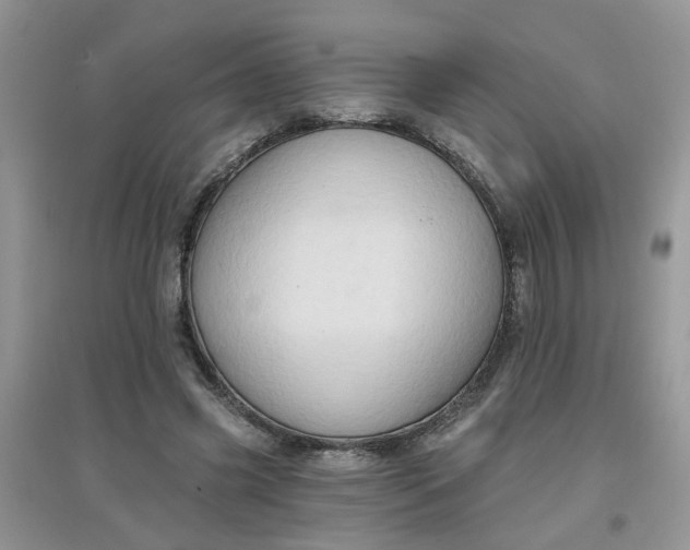 X0000097650541200803142112