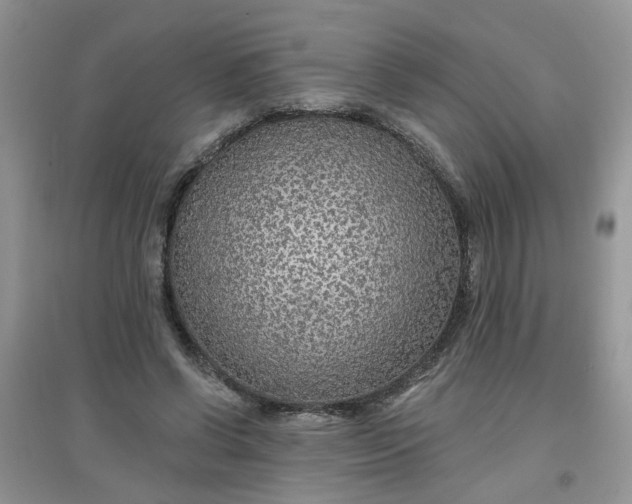 X0000097650542200803142112