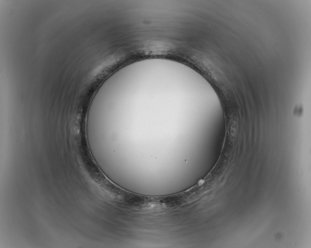 X0000097650543200803142112