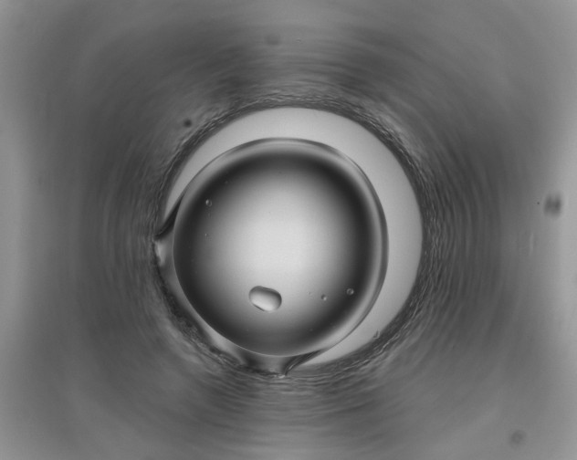 X0000097650546200803142112