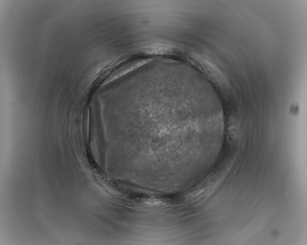 X0000097650547200803142112